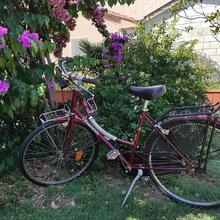 Apartment M&r Studio, And Town! *