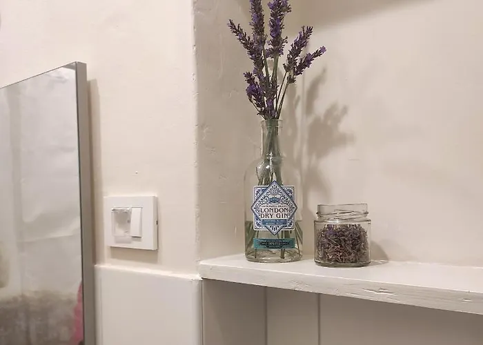 Apartment M&r Studio, And Town! *