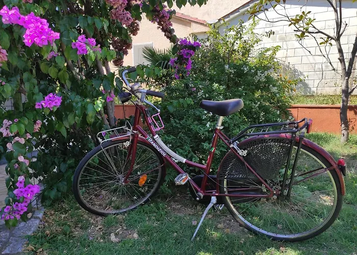 Apartment M&r Studio, And Town! *