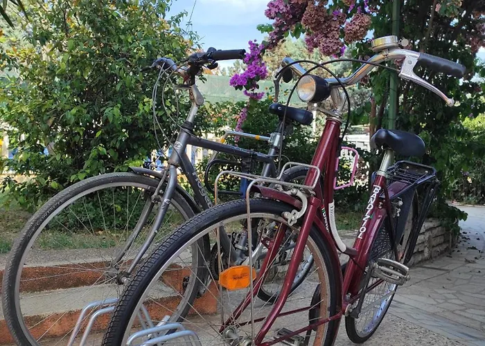 M&r Studio, And Town! *