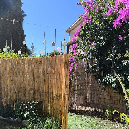 M&r Studio, And Town! 풀라